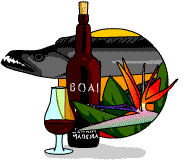 Madeira wine - bottle and glass - an espada fish and the beautiful 'bird of paradise' flower.