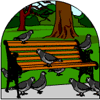 Pigeons on a park bench.