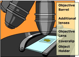 A Microscope Objective Lens.