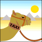 A Camel with a taxi collar