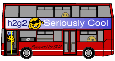 Advert on a bus by Amy the ant