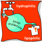 A soap molecule hanging onto a tap (labelled 'hydrophilic') and a dirty T-shirt (labelled 'lipophilic').