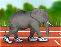 An elephant on a running track wearing trainers!