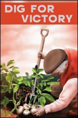 An World War II poster depicting an old man 'digging for victory'.