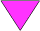 The Pink Triangle