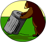 Bear toppling over bin
