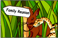 Snake and rabbit and a sign saying 'family reunion'