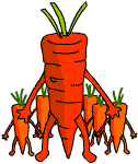 Carrots