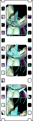 A magnolia in a strip of film