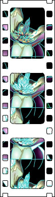 A film strip showing a magnolia