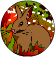 A summer hare.