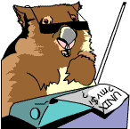 A beaver sitting at a typewriter
