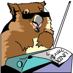 A beaver working as a sub-editor