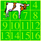 Cow Pat Bingo