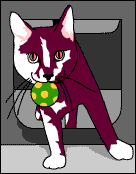 CAT WITH BALL