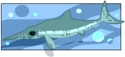 An Ichthyosaurs