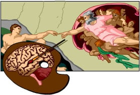 Michelango's 'Creation of Adam' and brain on a pallette.