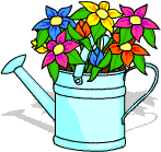 A watering can with lovely flowers growing out of it.