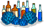 Bottles of Tequila and the blue agave plant