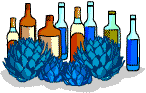 Bottles of tequila and the blue agave plant