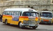 Maltese Buses