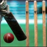 A cricket scene; bat, ball and stumps.