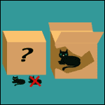 A cat in a box