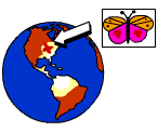 A butterfly's effect on world climate