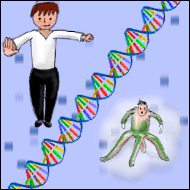 A human, a strand of DNA and a human-octopus hybrid