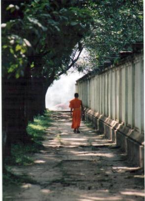 Vientiane Monk