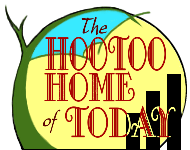 The Hootoo Home of Today by Asteroid Lil