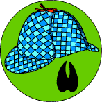 A detective's hat