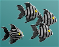 Three striped fish avoiding one that has different stripes