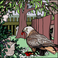 A red kite has problems with cats