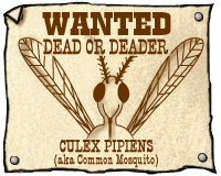Western-style 'Wanted' poster of a mosquito.