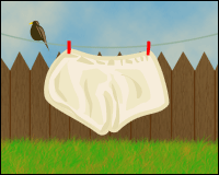 A pair of granny pants on the washing line.
