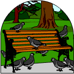 Pigeons on a park bench plotting