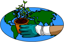 A hand clad in a gardening glove holding a pot plant over a map of the world 