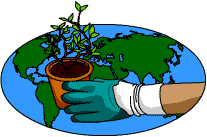 A hand clad in a gardening glove holding a pot plant over a map of the world