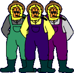 Three wurzels