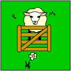 Sheep