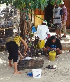 Life at St Lucia... gutting the day's catch