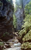 The Fantastic Breitachklamm Gorge