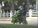 A water coconut seller and his bike.