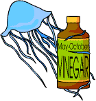 A jellyfish and a bottle of vinegar